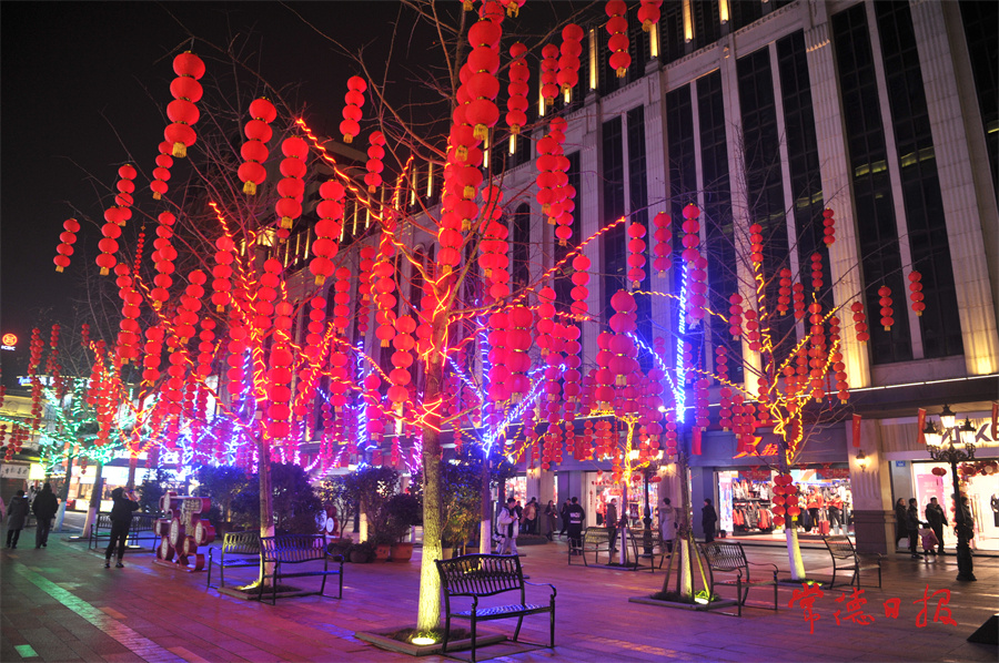 1月24日，武陵阁步行城，灯笼，彩灯挂满树梢，年味愈加浓郁。陈欢 摄.JPG