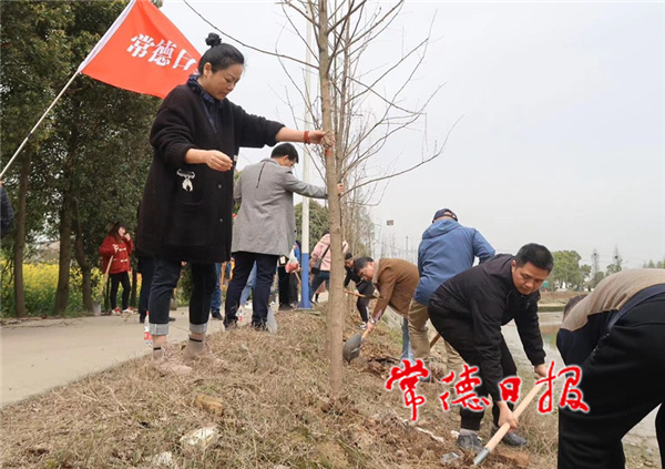 点村义务植树2.jpg