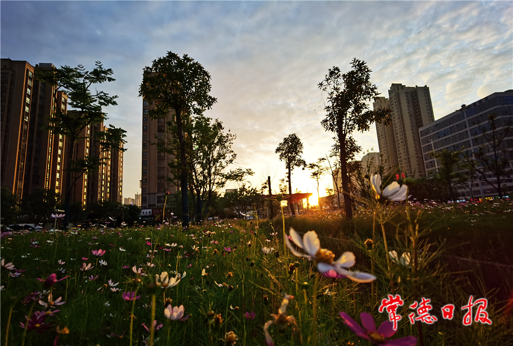sj向波-江南城夜色美-3-1.jpg