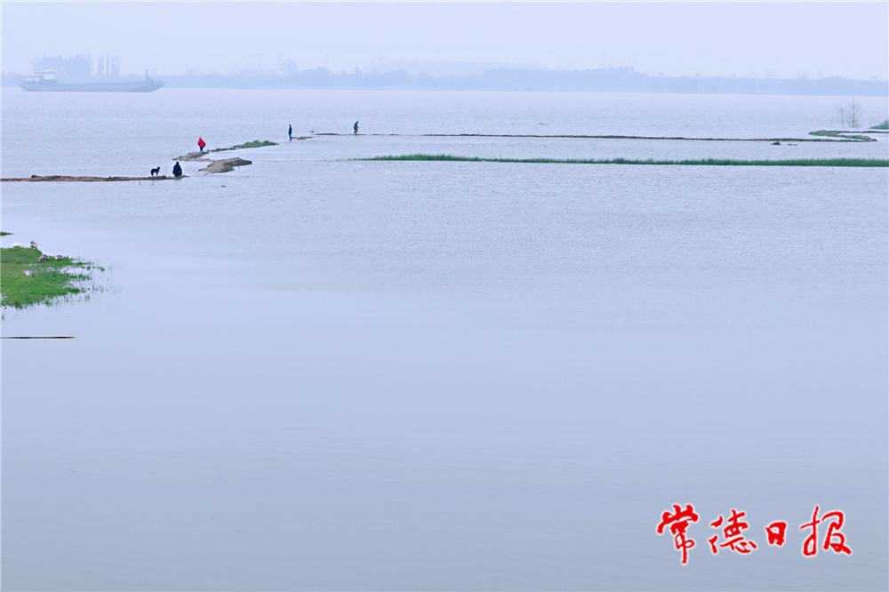 张群星-沅江偶影-2-1.jpg