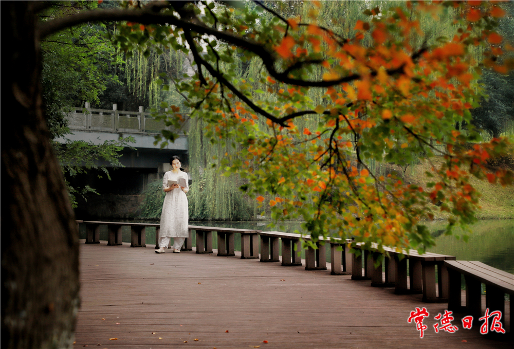 李浩洲-丁玲公园一角-1.jpg