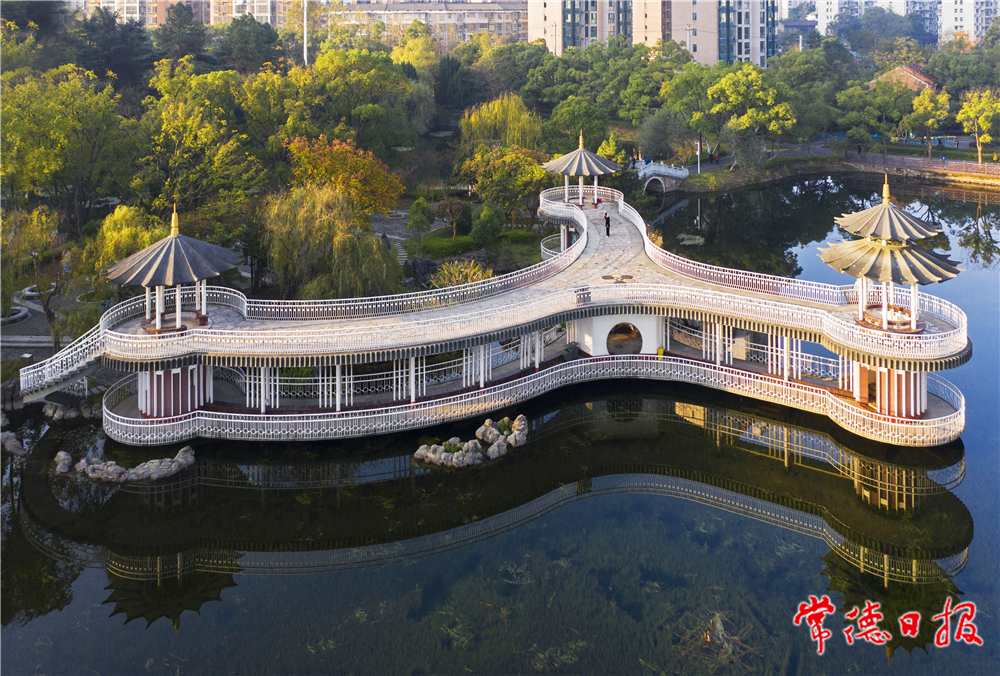 宋才华-公园秋色-1.jpg