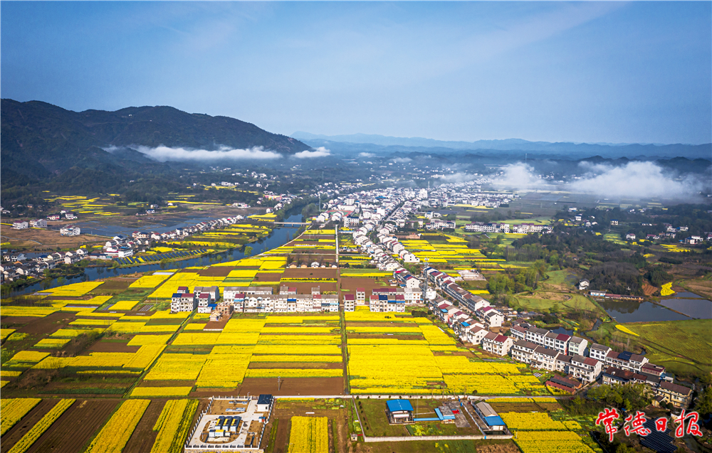 陈世龙-美丽乡村-1.jpg