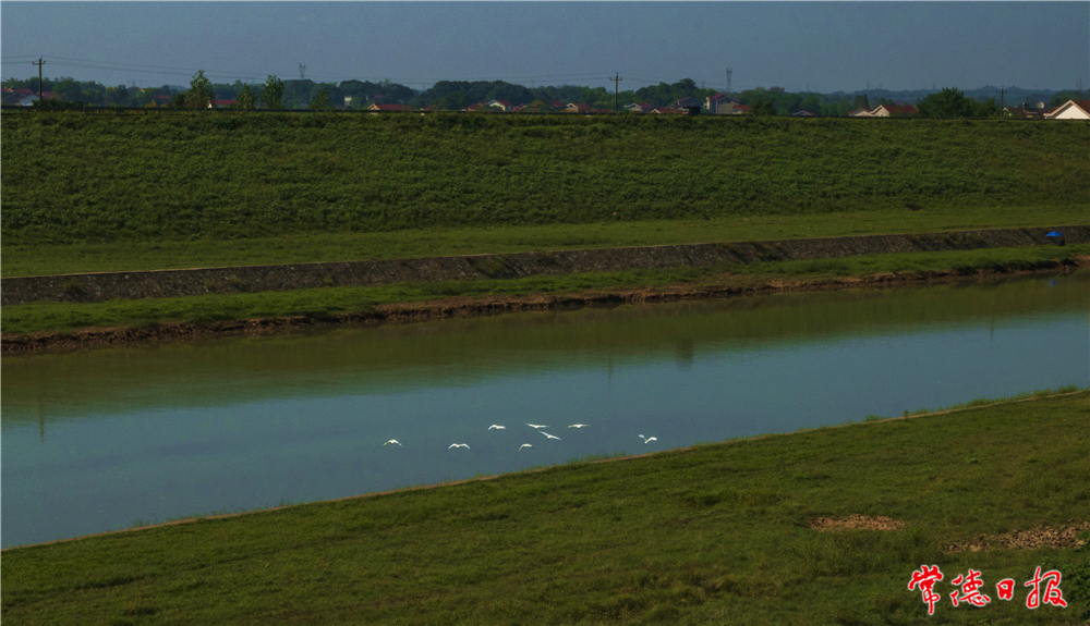 高长慈-住在白洋河-1.jpg