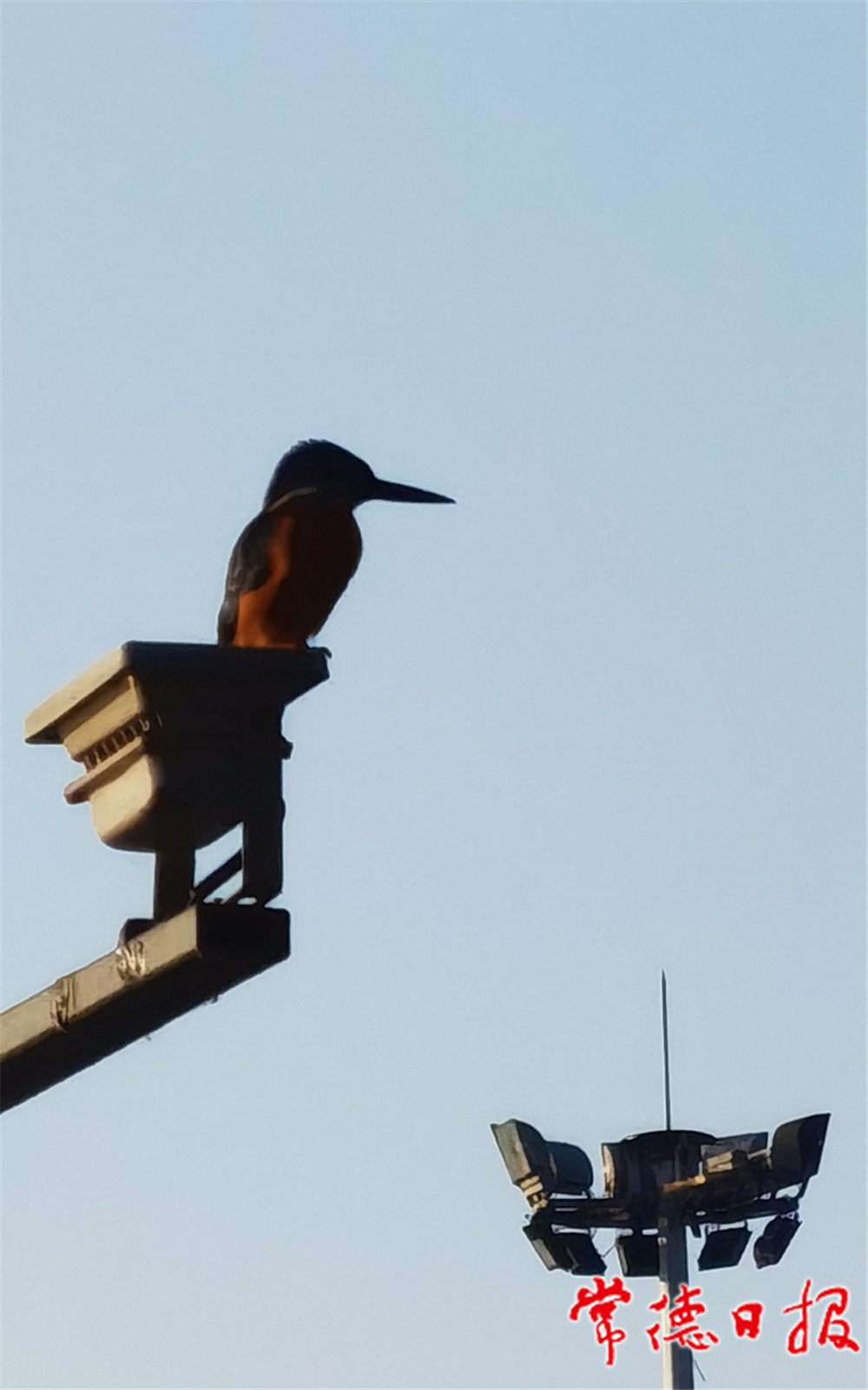 sj叶培明-守望-1.jpg