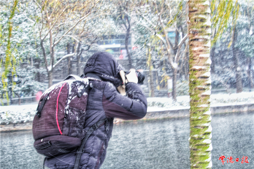杨友如-摄雪景-1.jpg