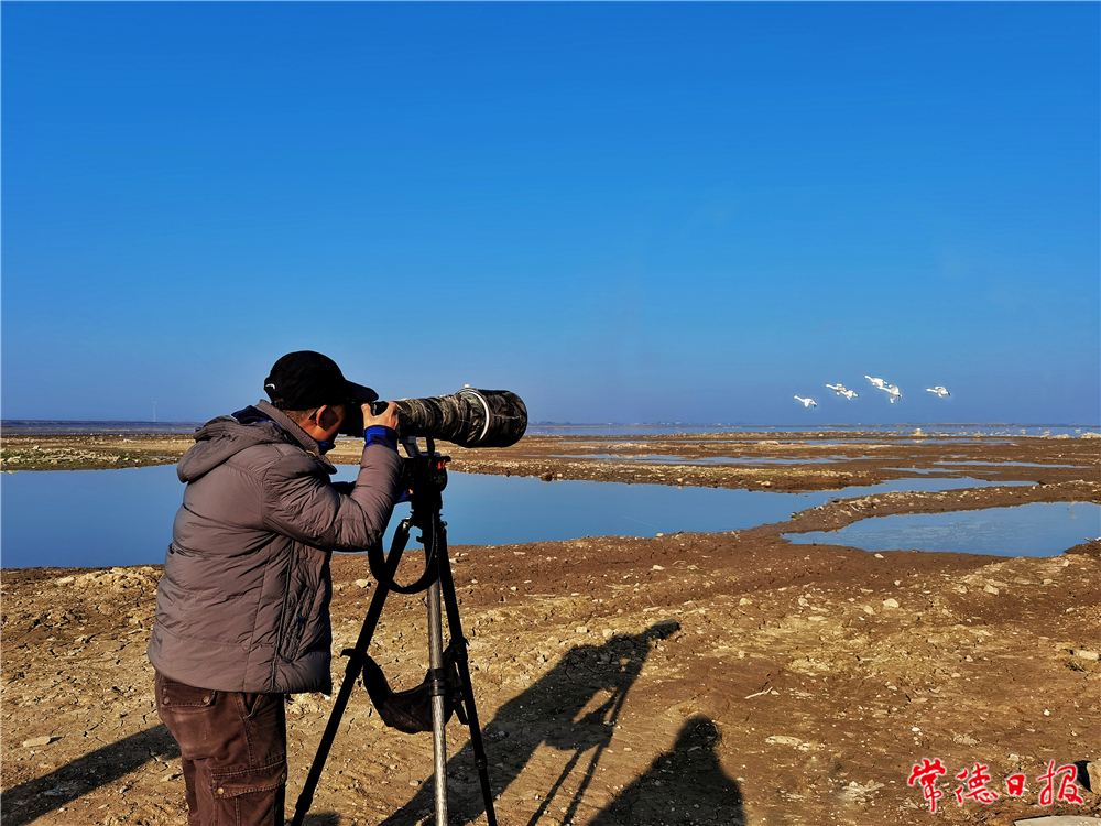 sj刘图强-湿地打鸟人-1.jpg