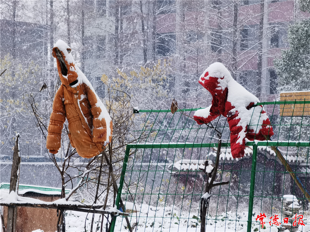 饶玉霞 雪人.jpg