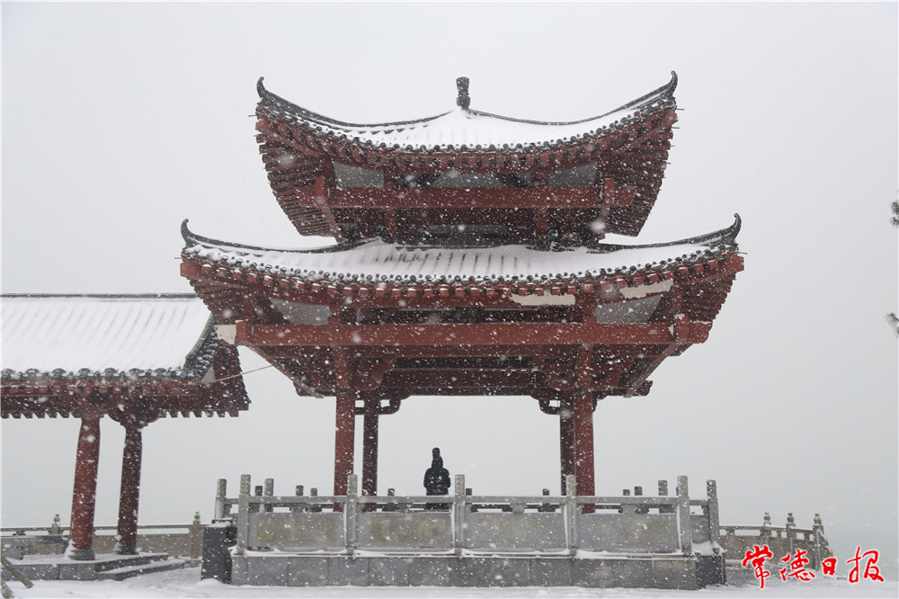 陈志明 (3).jpg