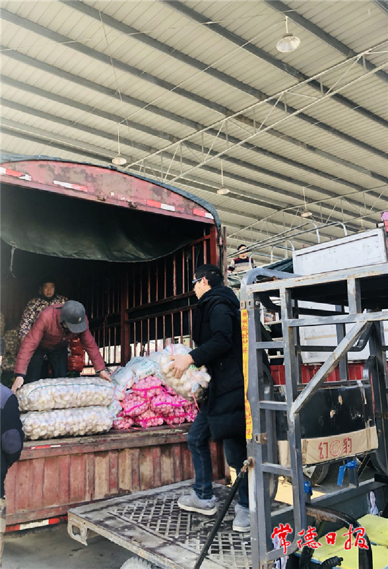 常德理货区，商户将大蒜整理装箱，然后运往外地。_1642900255251.png