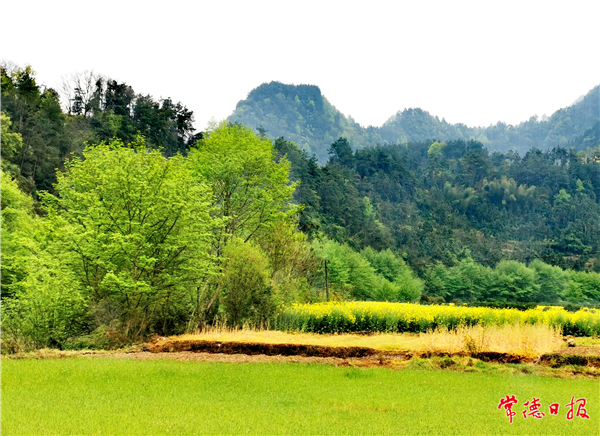 姜坤山 石门商溪.jpg