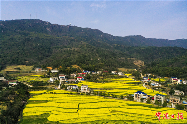 邓军-美丽山村-3-1.jpg