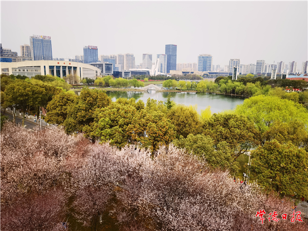 卢健-繁花似锦-1.jpg