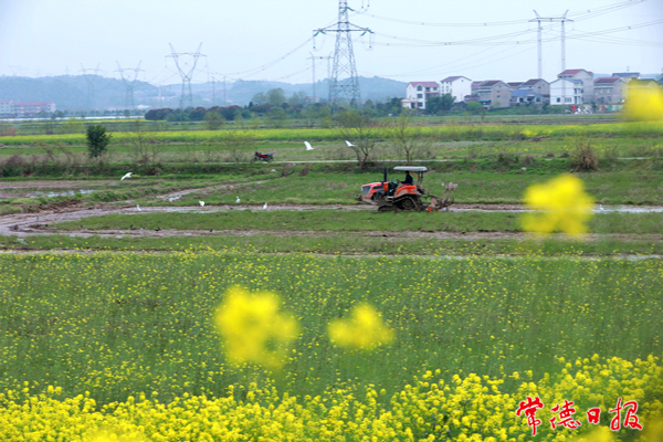廖学春-春耕-1.jpg