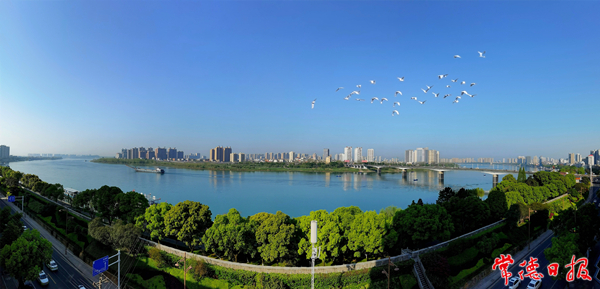 刘图强-生态柳城-1_副本.jpg