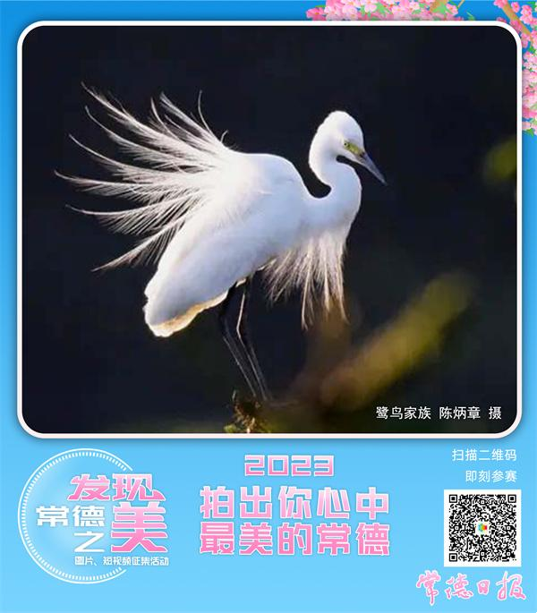 c0f9626bc81c47b2a9cef520d751db74.png