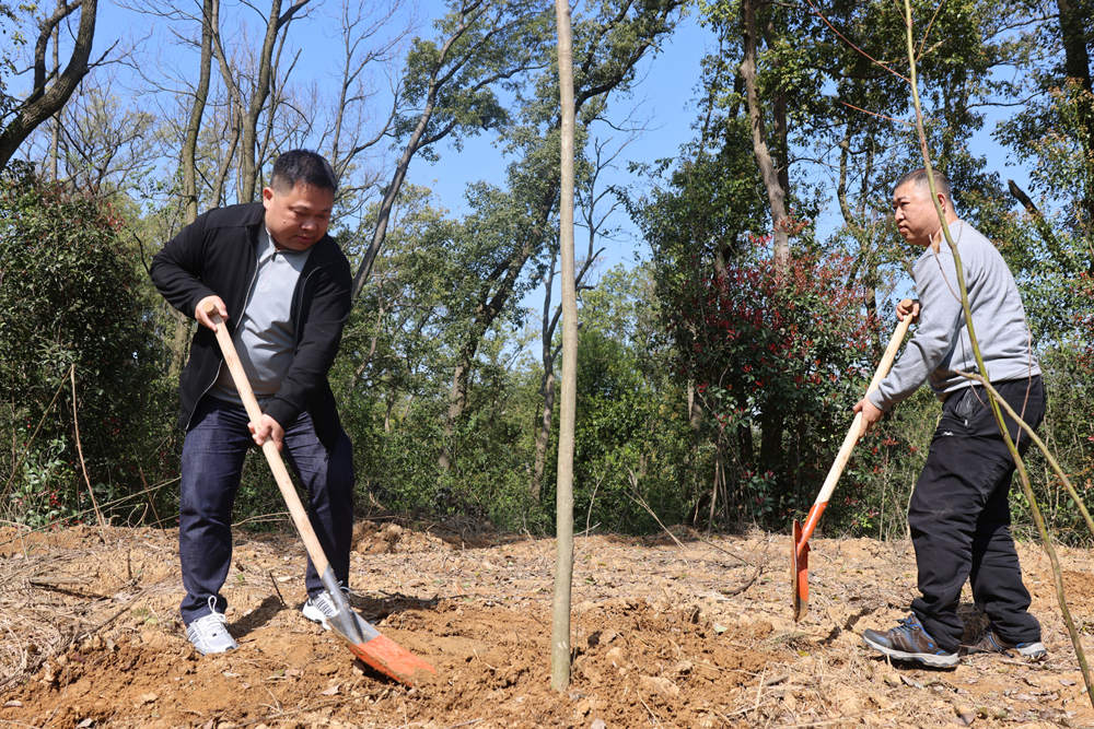 微信图片_20260401164325_40_545_副本