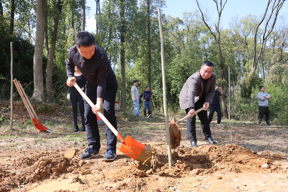 微信图片_20260401164349_43_545_副本