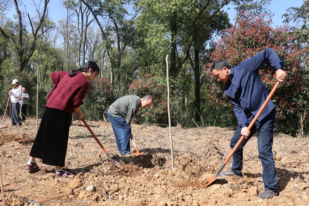 微信图片_20260401164404_45_545_副本